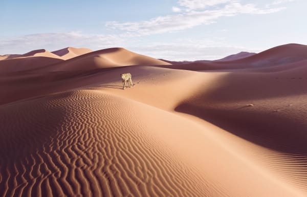 Dean West & Nathan Sawaya, Cheetah, 2019