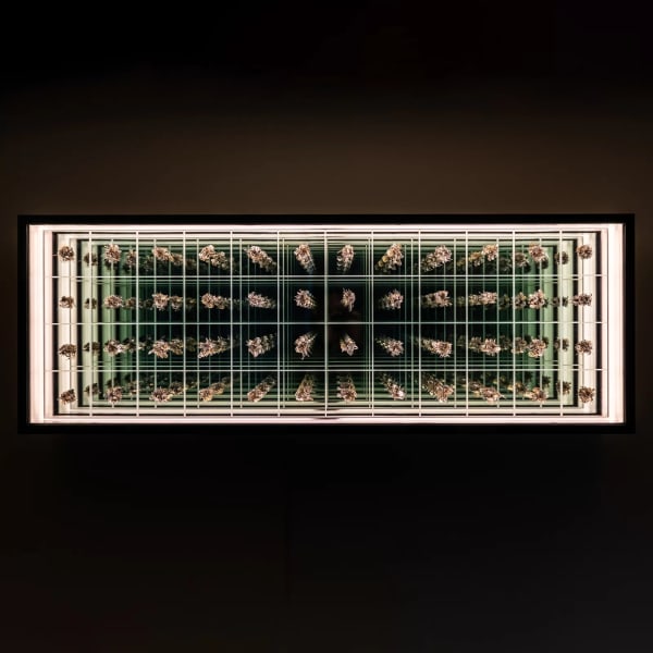 Quentin Carnaille, Infini II