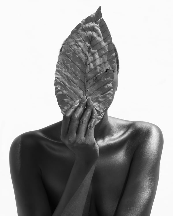Sylvie Blum, Tree of Life, 2018