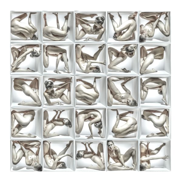 Jeff Robb, Unnatural Causes #15, 2013