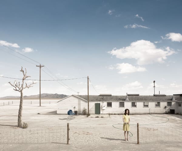 Dean West & Nathan Sawaya, Tree, 2012
