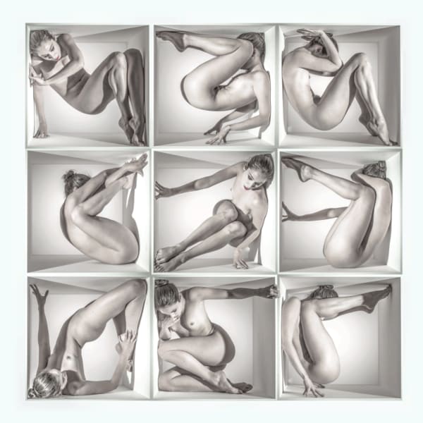 Jeff Robb, Unnatural Causes #16, 2013