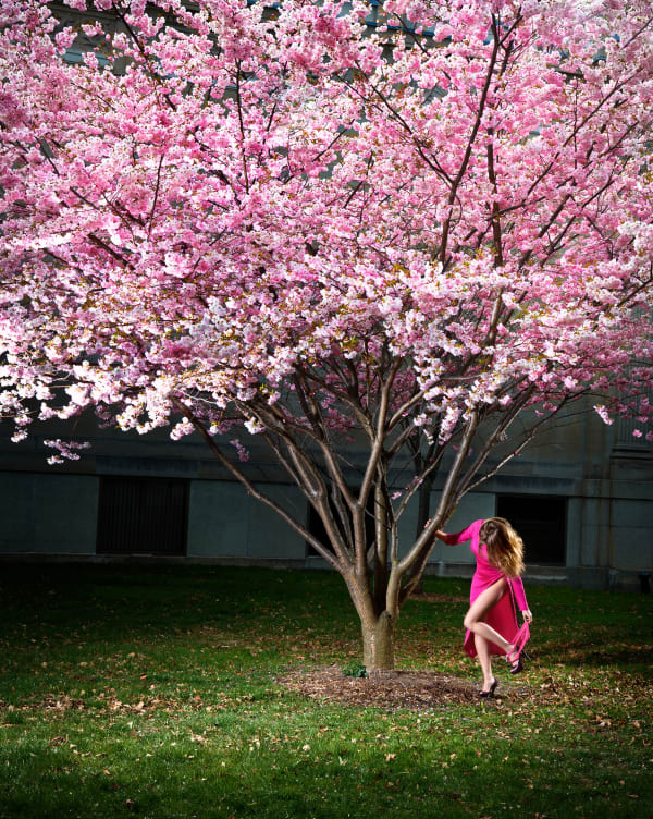 David Drebin, Pink Moment, 2012