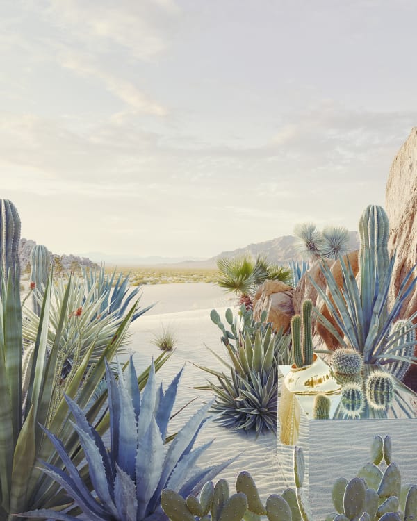 Dean West, Still Life # 1, (Desert Oasis), 2018