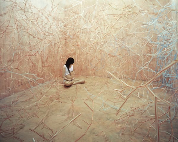 JeeYoung Lee, Foodchain, 2008