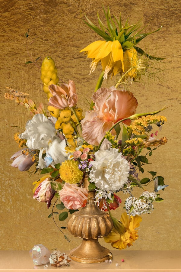 Still Life