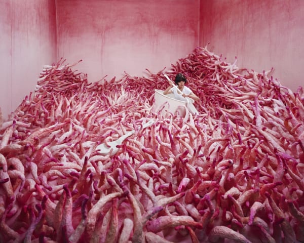JeeYoung Lee, Monsoon Season, 2011