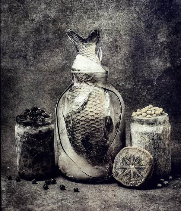 Jan C. Schlegel, Still Life with Fish and Berries, 2024
