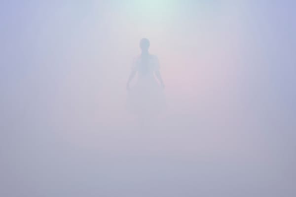 JeeYoung Lee, Contact, 2024