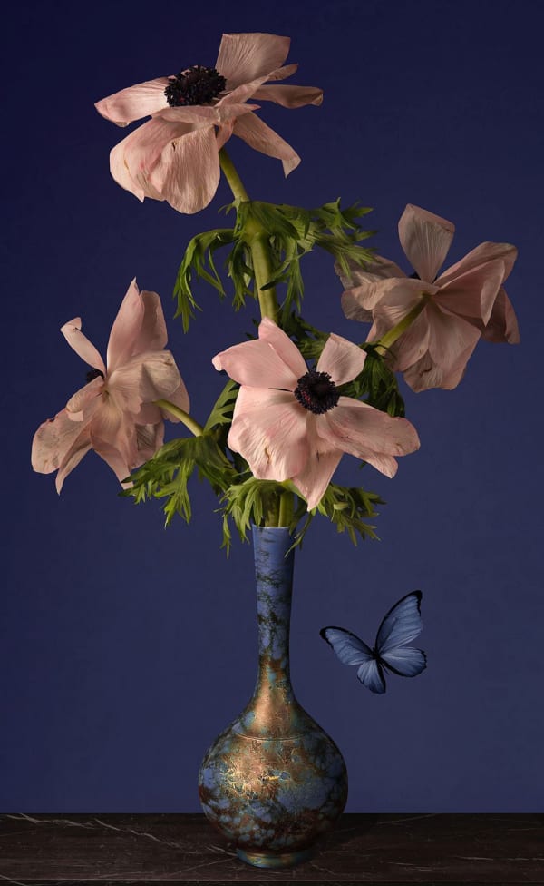 Bas Meeuws, Untitled #202, 2024