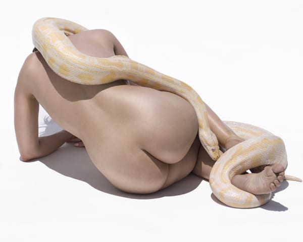 Sylvie Blum, Giant Albino Python, 2017