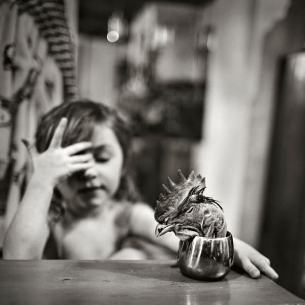 Alain Laboile, Coq, 2012