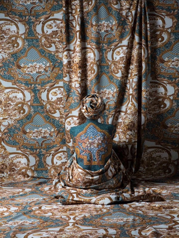Cecilia Paredes, Hermitage, 2017