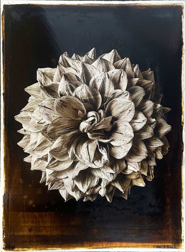 Jan C. Schlegel, Plate #13, 2025
