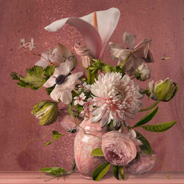 Bas Meeuws, Pink #8, 2022