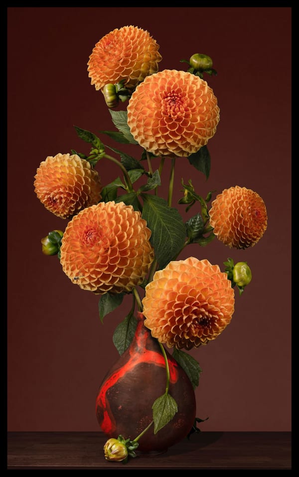 Bas Meeuws, Untitled #204, 2024