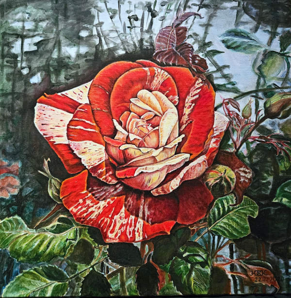 Nina Krylova, Rose 3