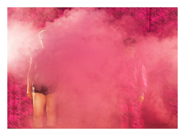 Pauline Boudry / Renate Lorenz, Please don't reduce me to a truth I don't have generated on my own, 2014