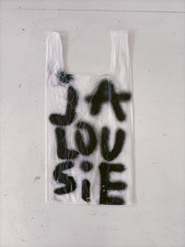 Anne-lise Coste, Jalousie bag, 2021