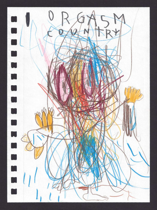 Anne-Lise Coste, Orgasm Country, 2013