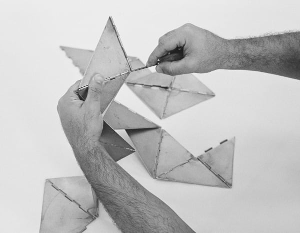 Kasper Akhøj, Untitled (Bicho)_06, 2024