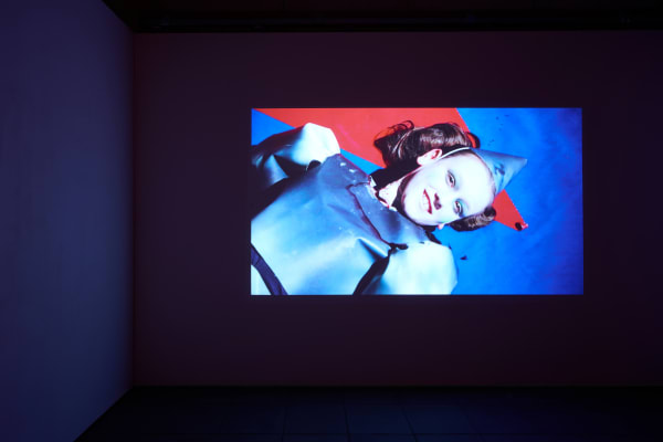 Pauline Curnier Jardin, Teetorum