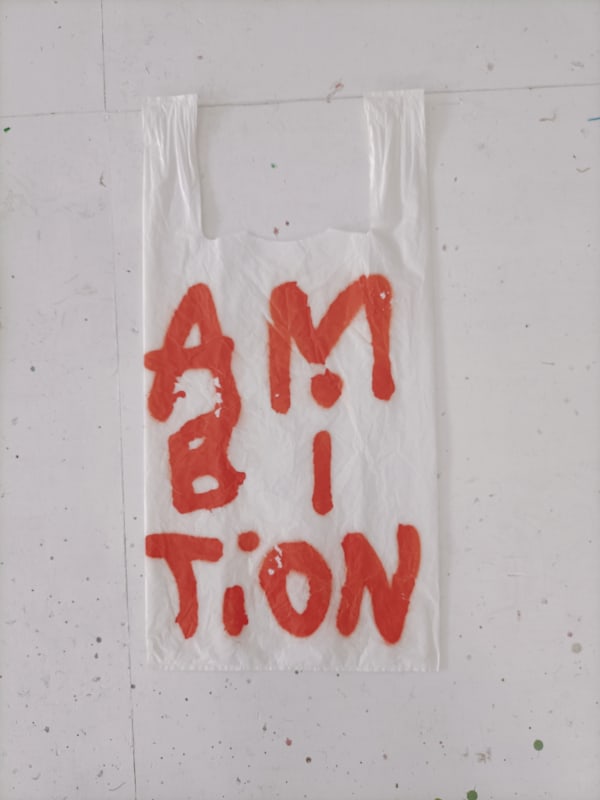 Anne-lise Coste, Ambition bag, 2021