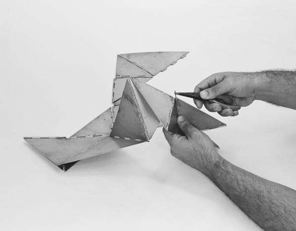 Kasper Akhøj, Untitled (Bicho)_04, 2024
