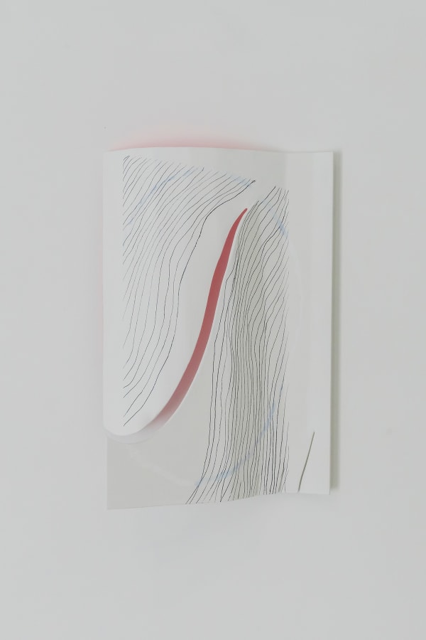 Kwantaeck Park 박관택, Hairy, Hairy