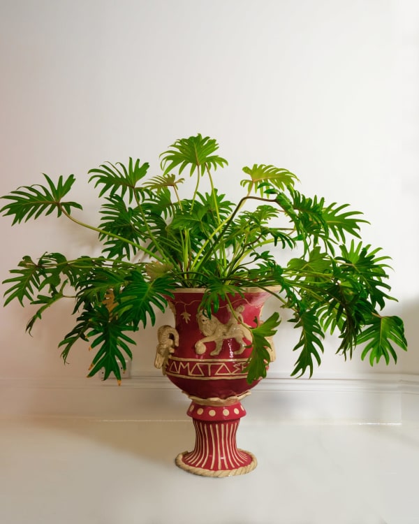 Amata Benedict, Amata Benedict Urn