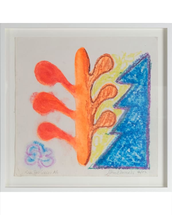 John Edwards, From the Siri Fort Series - A6