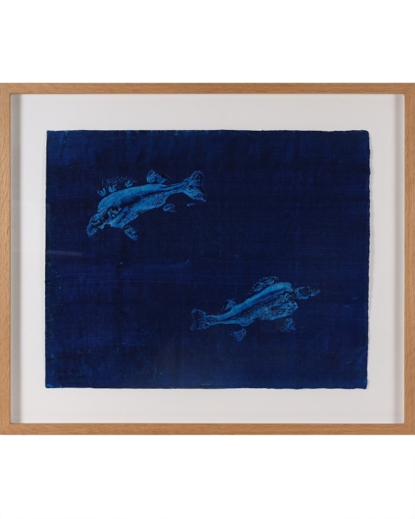 Julian Meredith Two Perch Monoprint H63 x W74 cm (framed dimensions)