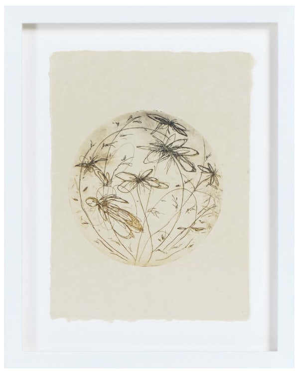 Mia Vallance, La Ceiba