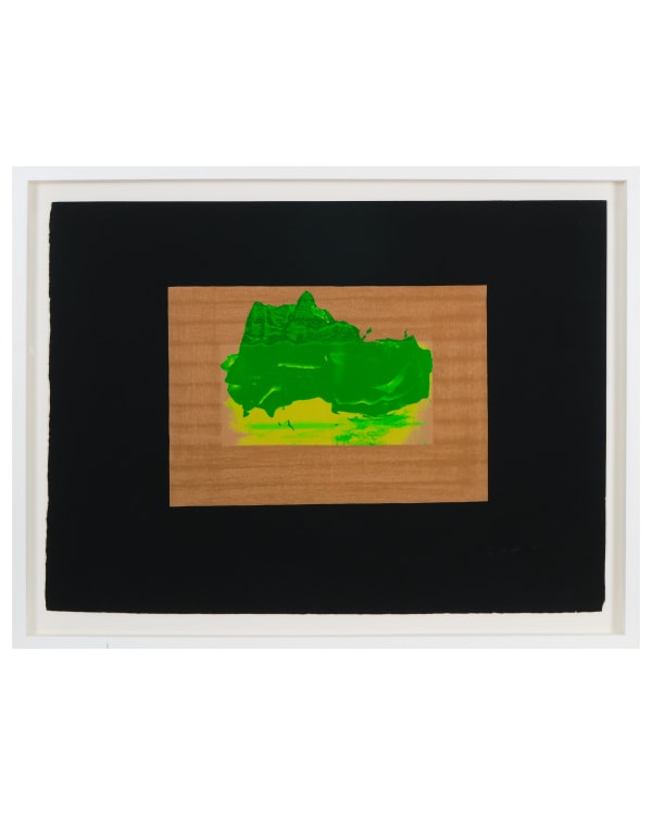 Howard Hodgkin, Indian View D