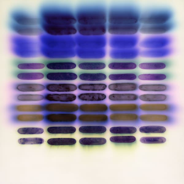 Jaq Chartier, SunTest #11 (Day 1), 2024