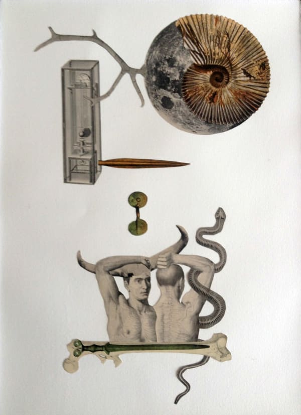 5 Short Stories About The Moon: Adam Unfolded and the Snake, 2019 collage on paper 16 x 12" paper 20.25 x 16.25" framed