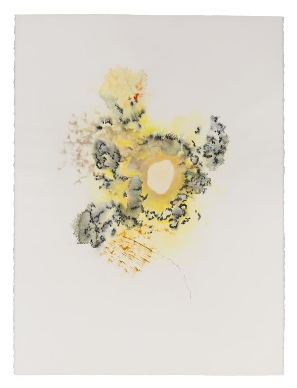 Fumarole 1, 2021 graphite, water-soluble colored pencil and pastel on paper 30 x 22.5" paper