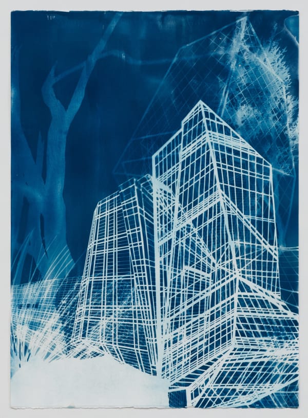 UnWild 6, 2021 cyanotype on paper 30 x 22" paper 34.25 25.75" framed