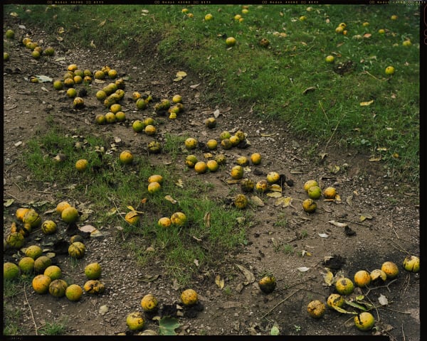 Untitled, 2015/2016 archival pigment print 28 x 35"