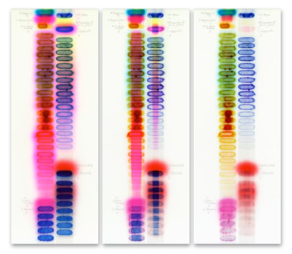 SunTest #3 (Day 1, 12, 35), 2019 time-based image capture; dye sublimation on aluminum 50 x 18.5" each (triptych)