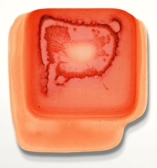 Red/Orange Ink Study (#19), 2025 dye sublimation on shaped aluminum approximately 18 x 19"