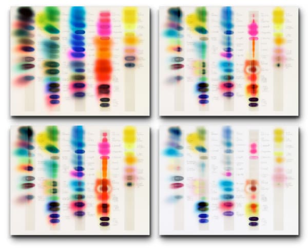 SunTest #9 (Day 1, 9, 14, 25), 2020 time-based image capture; dye sublimation on aluminum 33 x 42" each (quad)