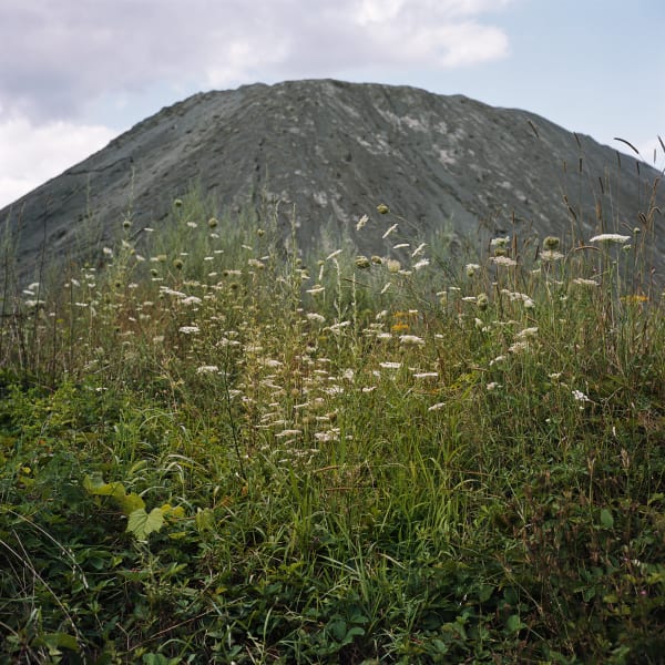 Untitled, 2015/2016 archival pigment print 24 x 24"