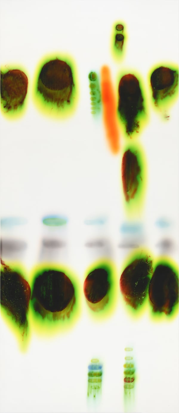 Hover (Red/Green), 2025 acrylic, inks, dyes, stains and spray paint on wood panel 46 x 20"