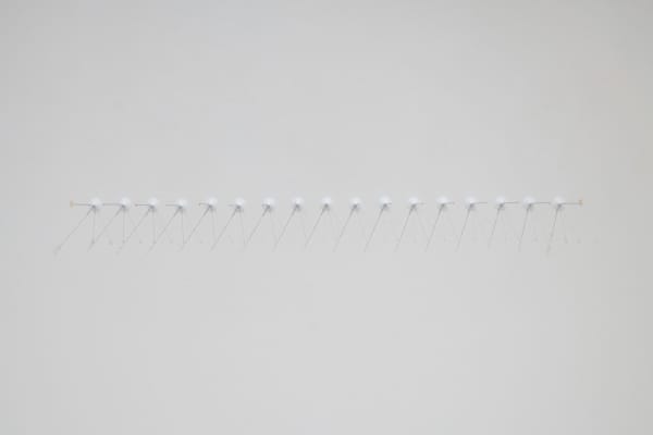 Sean Healy, Baby's Teeth, 2022