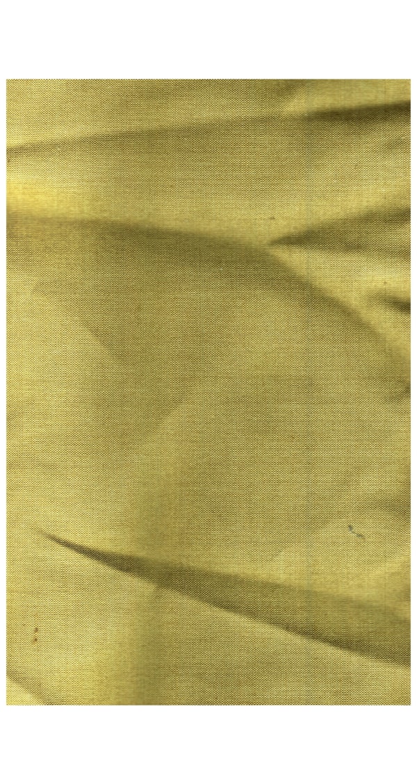 sense · gold silk, 2022 archival pigment print on Japanese gampi paper 49.5 x 32" image 67.5 x 33.5" paper