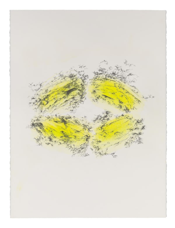 Fumarole 3, 2021 graphite and water-soluble colored pencil on paper 30 x 22.5" paper 35.25 x 27.5" framed