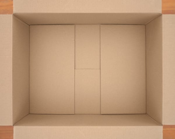 Isaac Layman, Untitled, 2018