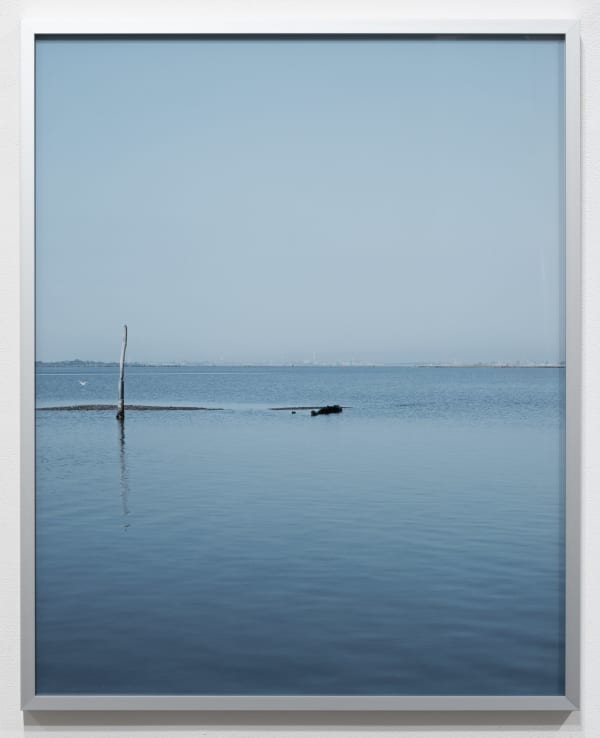 Hovering Birds (Venice, Italy)from the portfolio: TWO x TWO for AIDS and Art, 2009 c-print 29x 23" image 30 x 24" frame