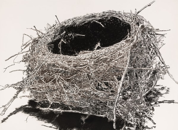 Sean Healy, Egg's Nest, 2022